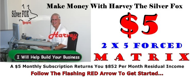 make money forced matrix